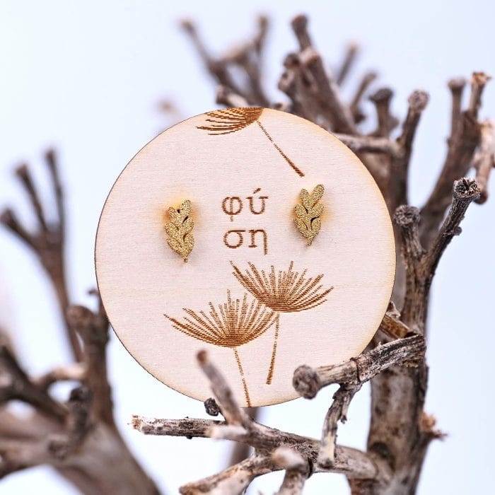 Επίχρυσα σκουλαρίκια Επίχρυσα καρφωτά σκουλαρίκια